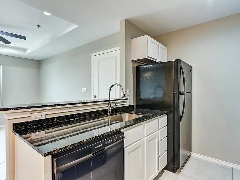 1208 N Mile 1 E #807 — Photo 11