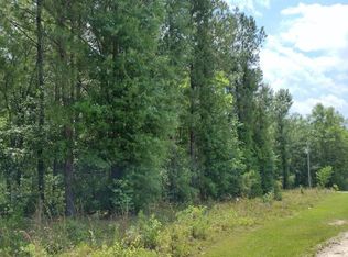 1129 Jeff Dr, Manning, SC 29102