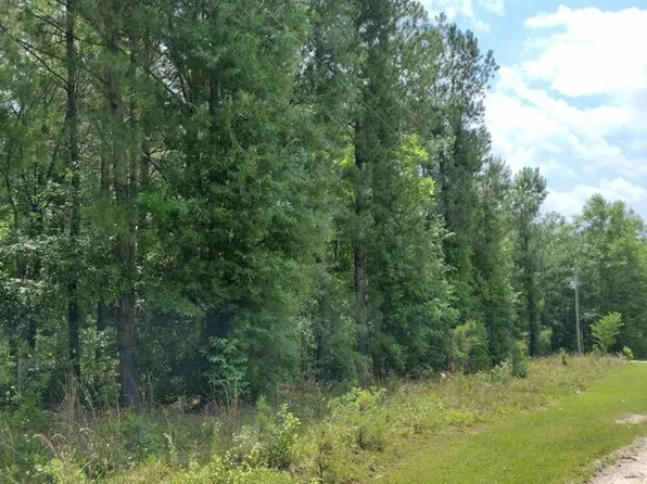 1129 Jeff Dr, Manning, SC 29102