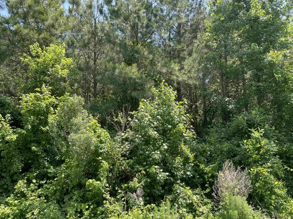 Us Highway 401 S Lot 1, Erwin, NC 28339