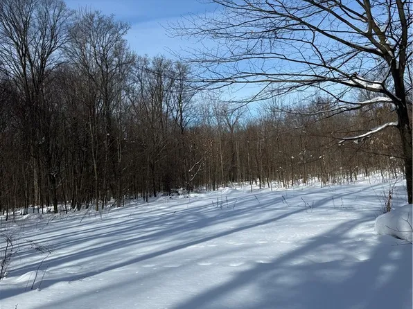 Syler Rd Lot 78, Varysburg, NY 14167