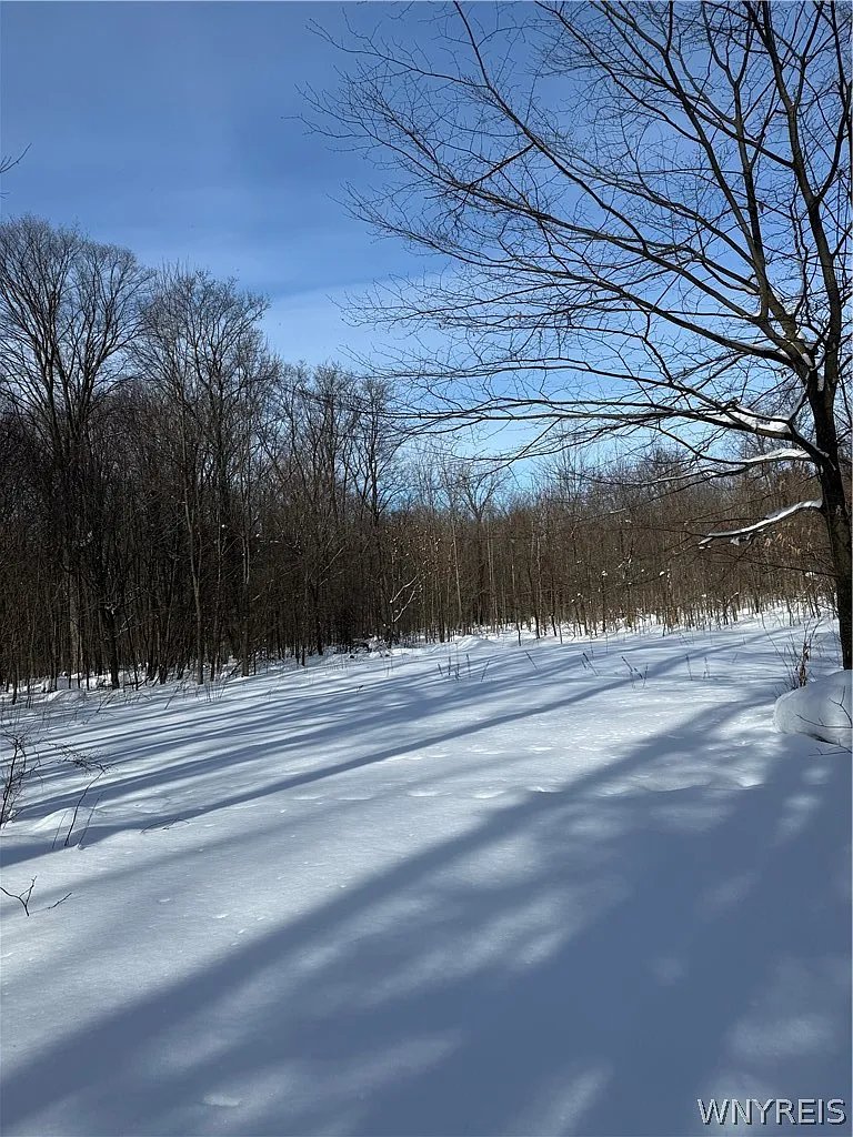 Syler Rd Lot 78 photo 1