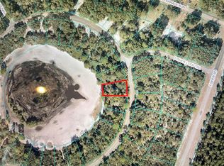 62 Fisher Loop #22, Ocklawaha, FL 32179