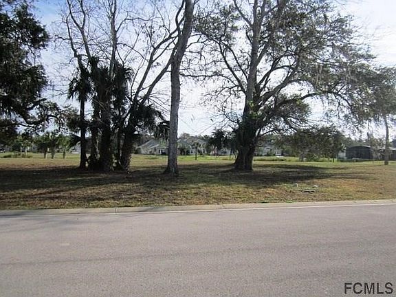 Some Old Oaks