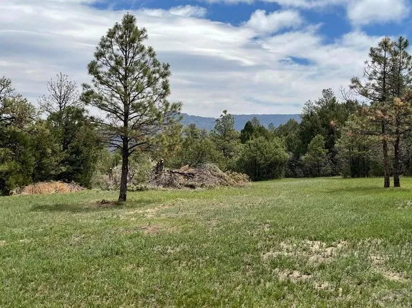 33817 Turkey Creek Ln, Trinidad, CO 81082