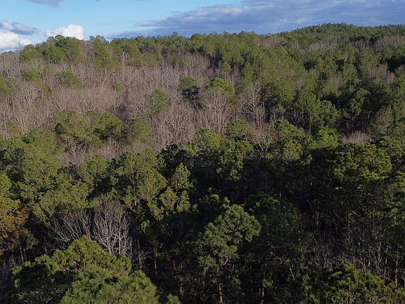 4th image of 0 Lane Branch Rd #0