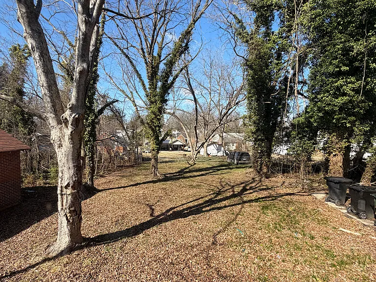 back yard