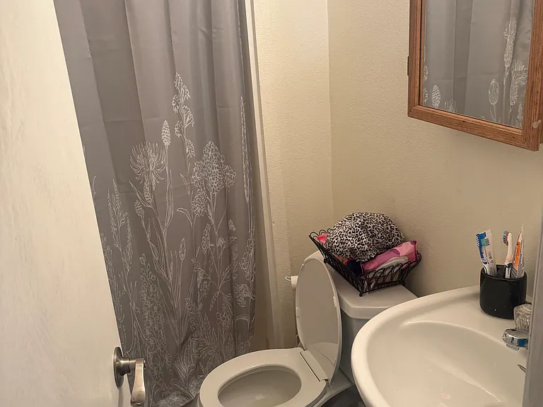 Basement bathroom