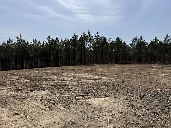 4th image of 0 Highway 231 Lot 1B