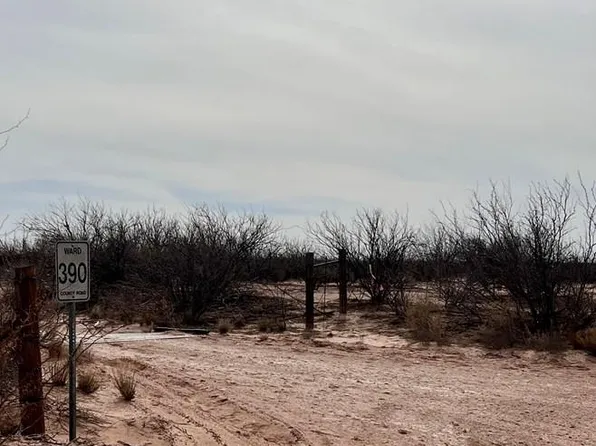 Sw Cres #390, Grandfalls, TX 79742