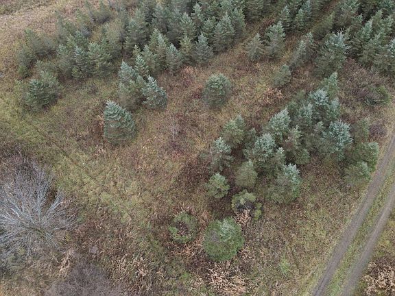 3rd image of 0 Carlisle Hwy