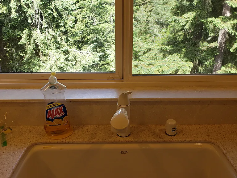 view from kitchen sink