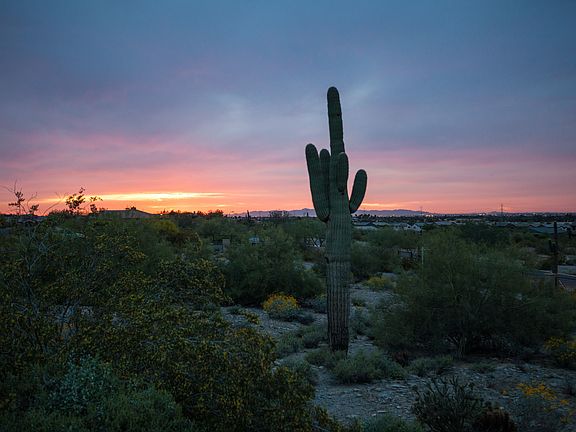 Sunset View from Lot