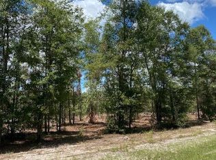 200 SW Signal Ct, Fort White, FL 32038