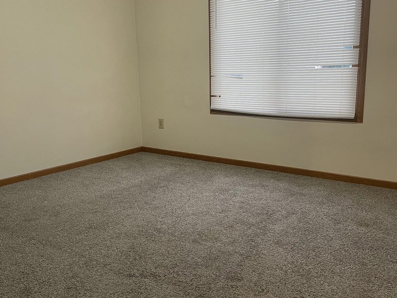 300 Allen Avenue Apt C - 1 — Photo 4