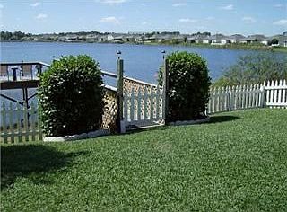 Backyard water view