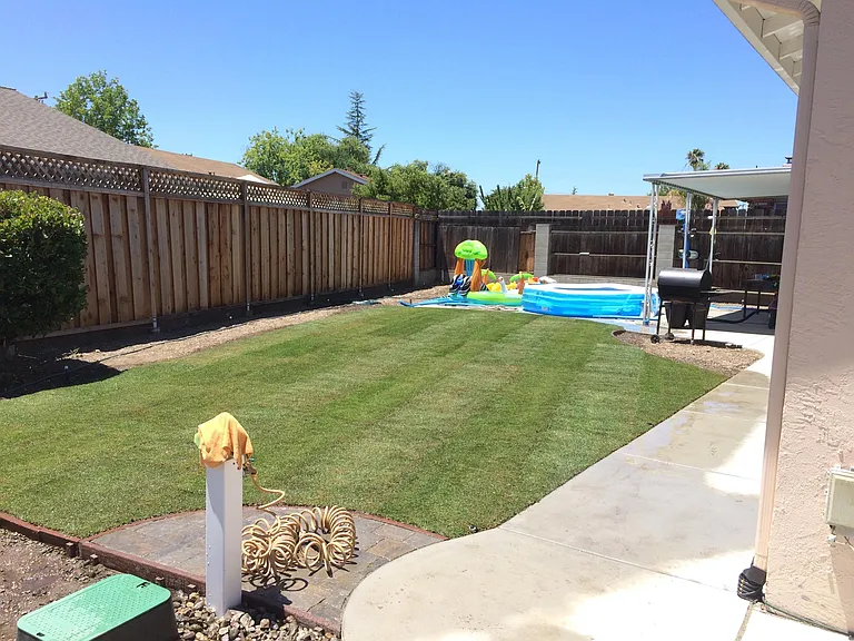 Backyard