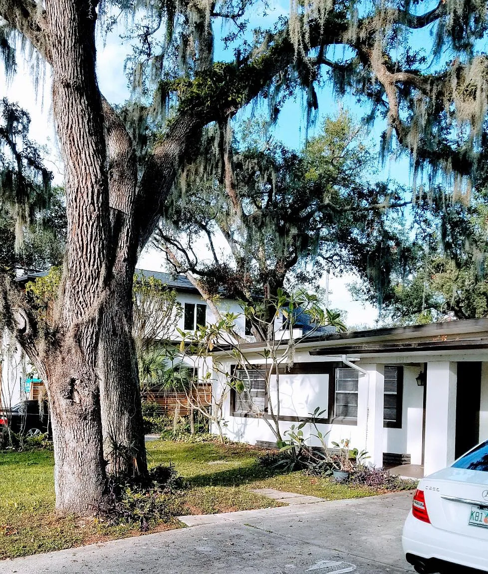 3 bed, 1310 sqft, $2,495 — Photo 3