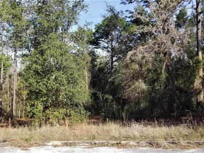 6115 W Caruso Ct, Dunnellon, FL, 34433