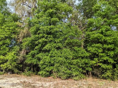 7468 ANTIETAM Avenue, Keystone Heights, FL, 32656
