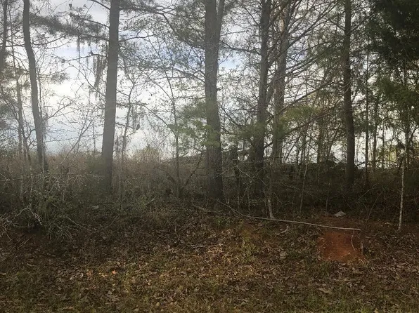Crabapple Dr, Hawkinsville, GA 31036
