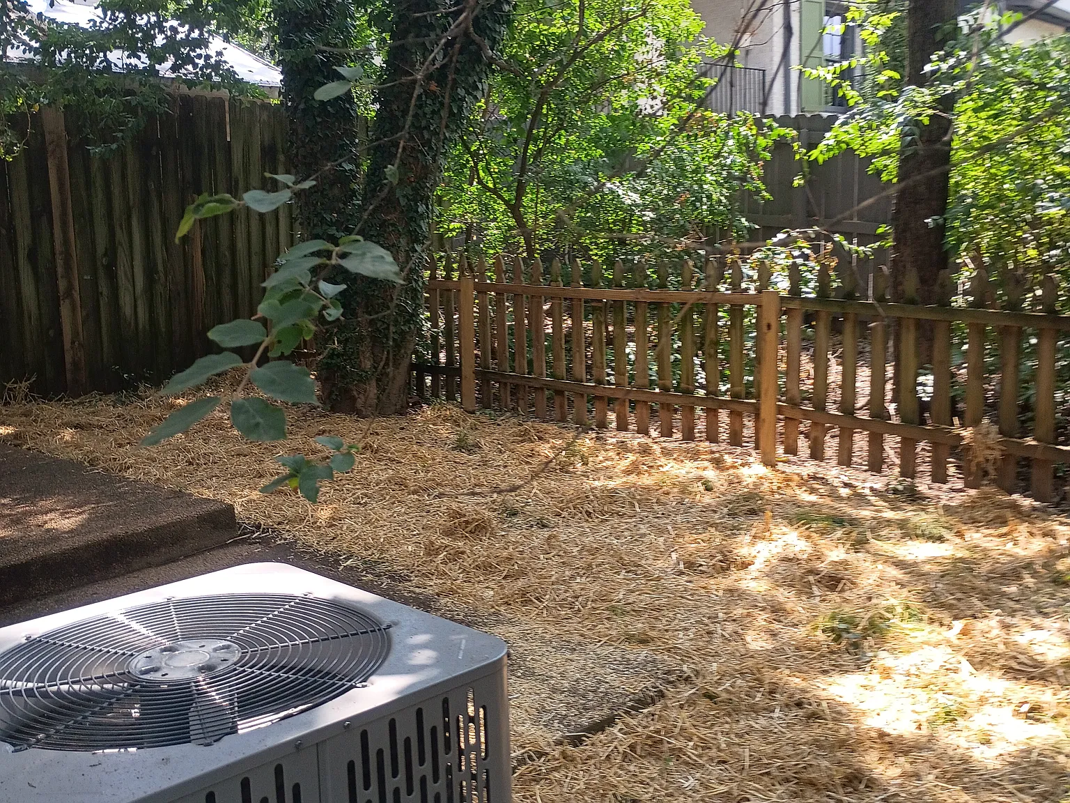 3 bed, 2.5 bath, 1684 sqft, $3,000 — Photo 4