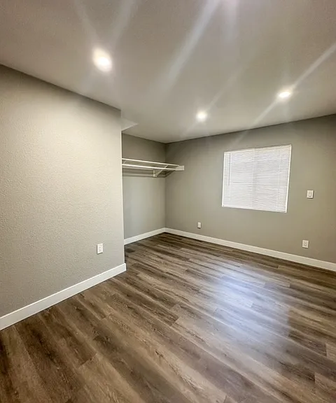 Junior 1 Bedroom Apartment's Closet Space