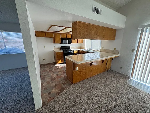 700 Silver Oak Dr — Photo 4