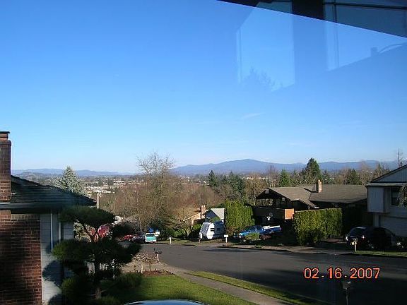 View through new vinyl windows