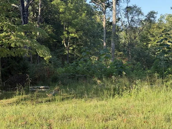 1190 Bell Hollow Rd, Vanleer, TN 37181