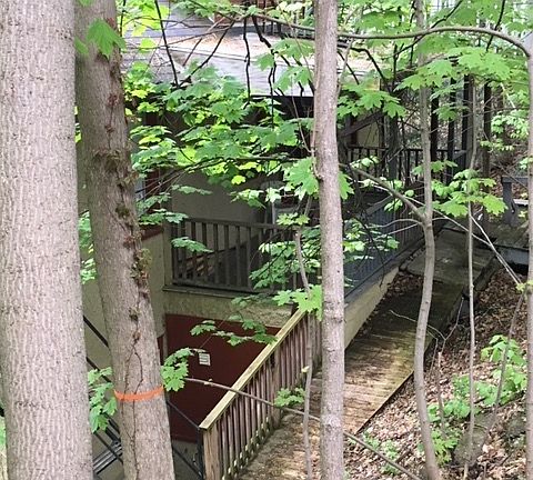 2nd image of 117 Thurston Ave
