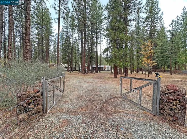 45088 Pine Shadows Rd, McArthur, CA 96056