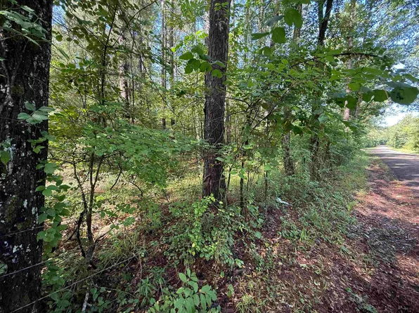 County Road 4194 Trl #1, Henderson, TX 75654