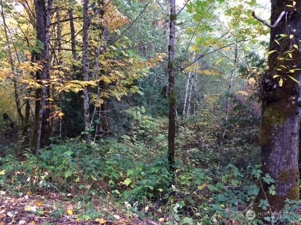 25116 SE 146th Street, Issaquah, WA 98027