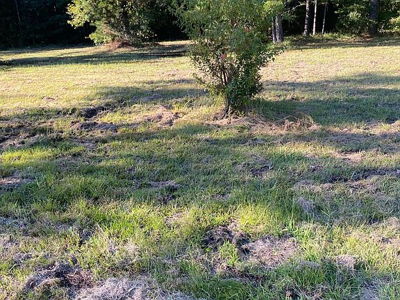 4th image of None Shellman Bluff Rd NE