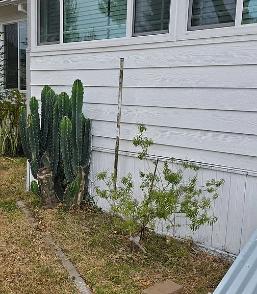 3368 Strong St — Photo 24