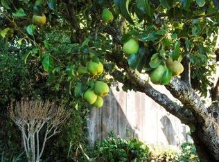 1704 Weaverly Dr, Petaluma, CA 94954