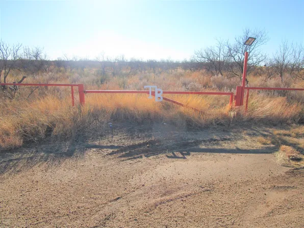 1319 Fm, Borger, TX 79007