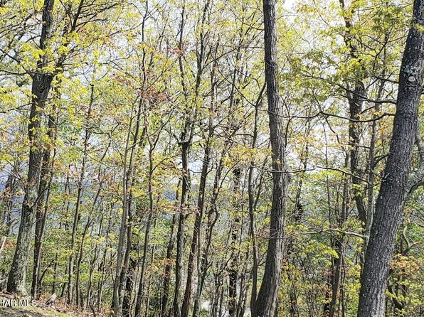 LOT 30 Ivyside Estates Ln, Altoona, PA 16601