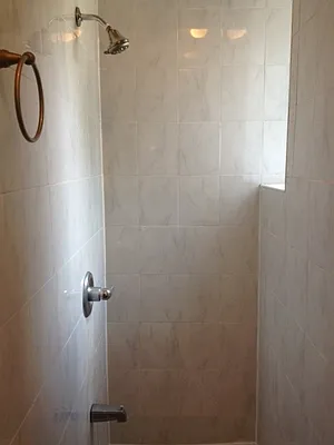 Rented by Nest Seekers International | media 7