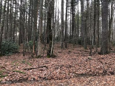 27 Linda Ln, Butler, TN, 37640