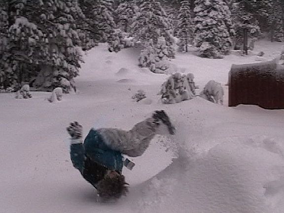 great tobogganing, snowshoeing and cross country skiing in back yard