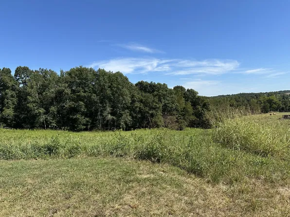 Morning Star Rd, Racine, OH 45771