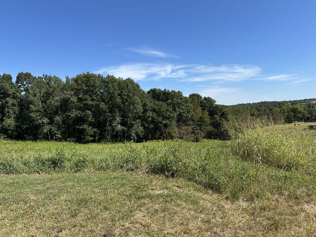 Real estate listing image