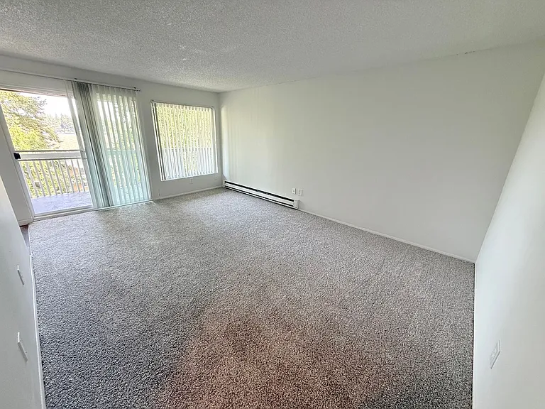 View at the Lake — Photo 10