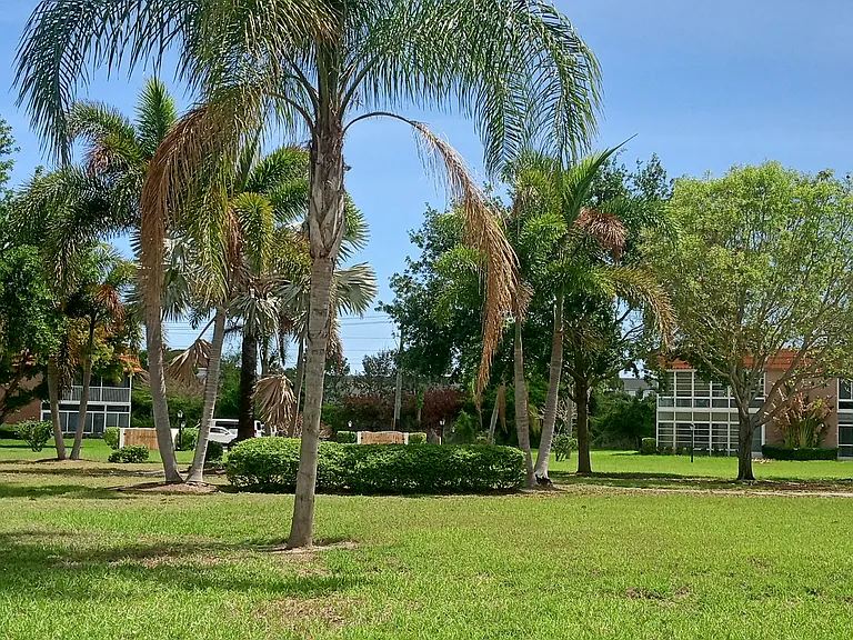 community view