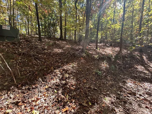 LOT 12 One &2 Royal Oaks #2-&, Brasstown, NC 28902