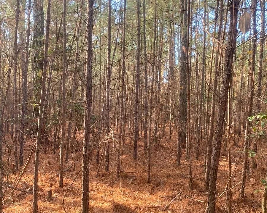 2nd image of 0 Spring Farm Rd