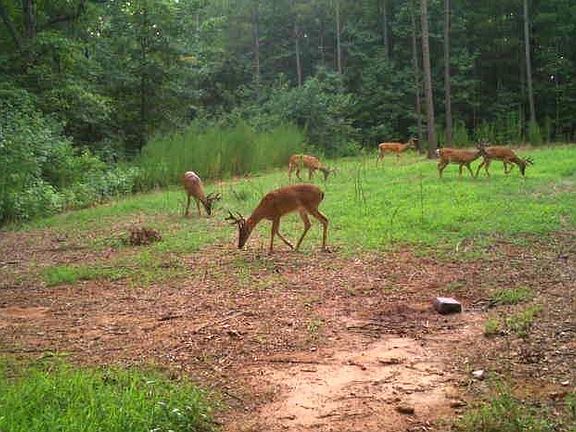 2nd image of 1 Sarah Simpson Rd