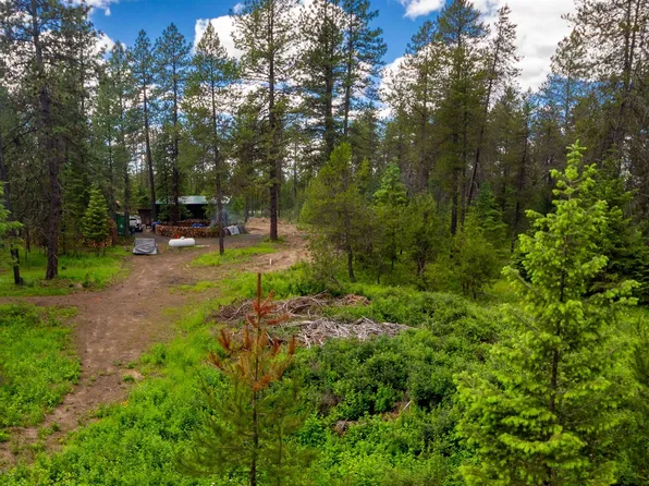 36605 N Muehle Rd, Elk, WA 99009